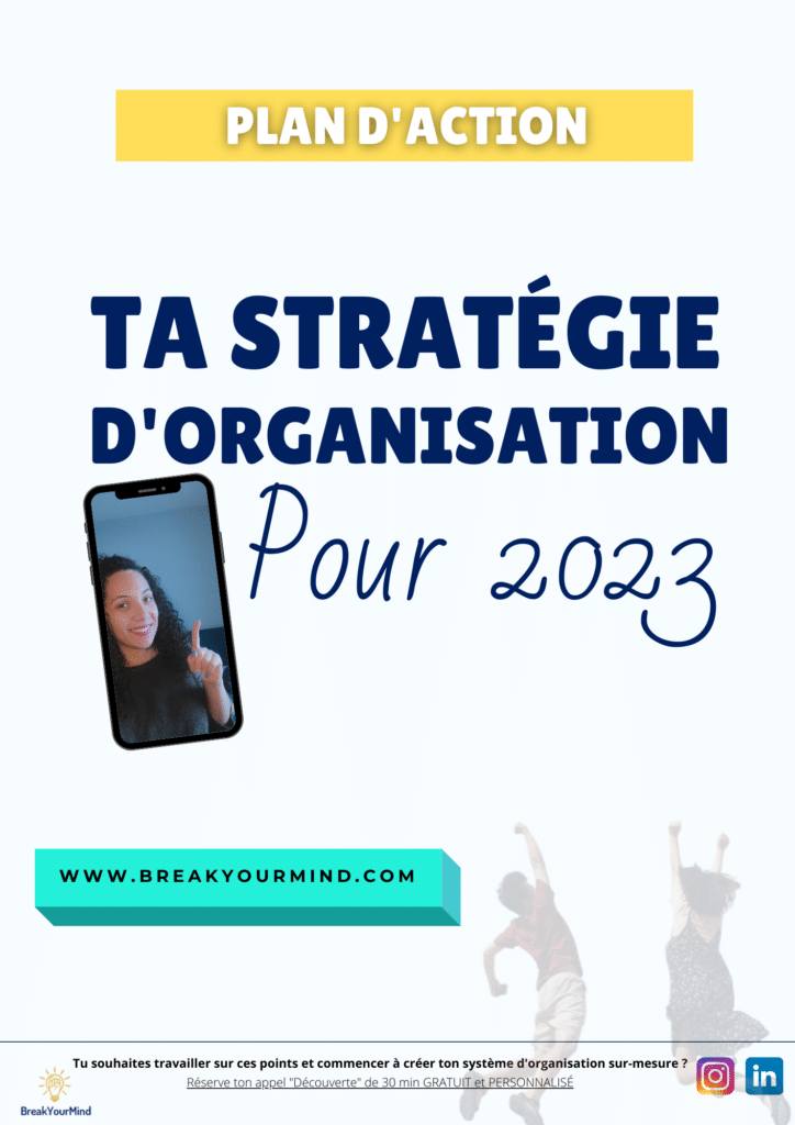 Plan d'action strategie d'organisation